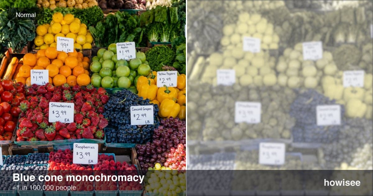 A before/after showing Blue cone monochromacy: a normal scene on the left, the same scene as seen with Blue cone monochromacy on the right