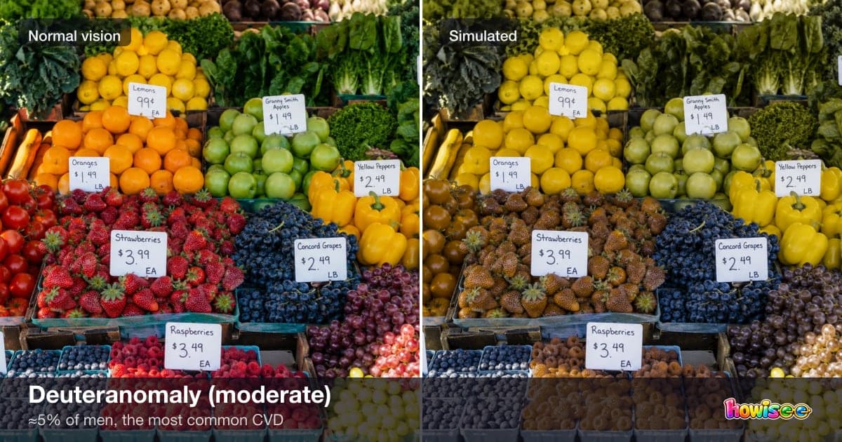A before/after showing Deuteranomaly (moderate): a normal scene on the left, the same scene as seen with Deuteranomaly (moderate) on the right
