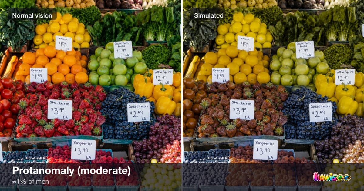 A before/after showing Protanomaly (moderate): a normal scene on the left, the same scene as seen with Protanomaly (moderate) on the right