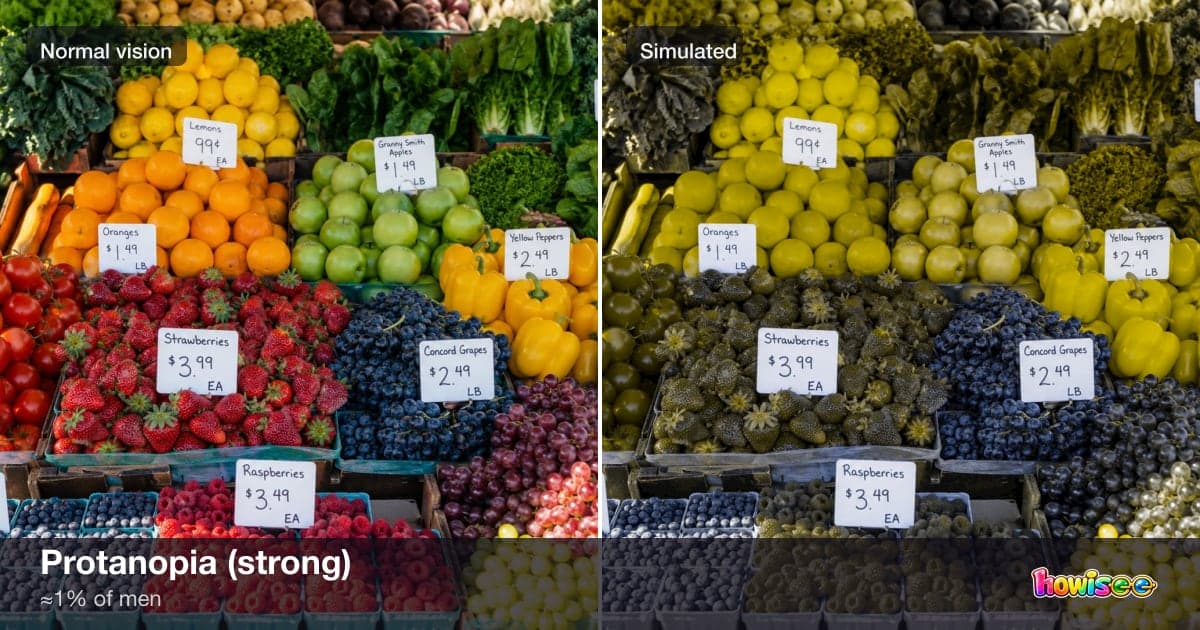 A before/after showing Protanopia (strong): a normal scene on the left, the same scene as seen with Protanopia (strong) on the right
